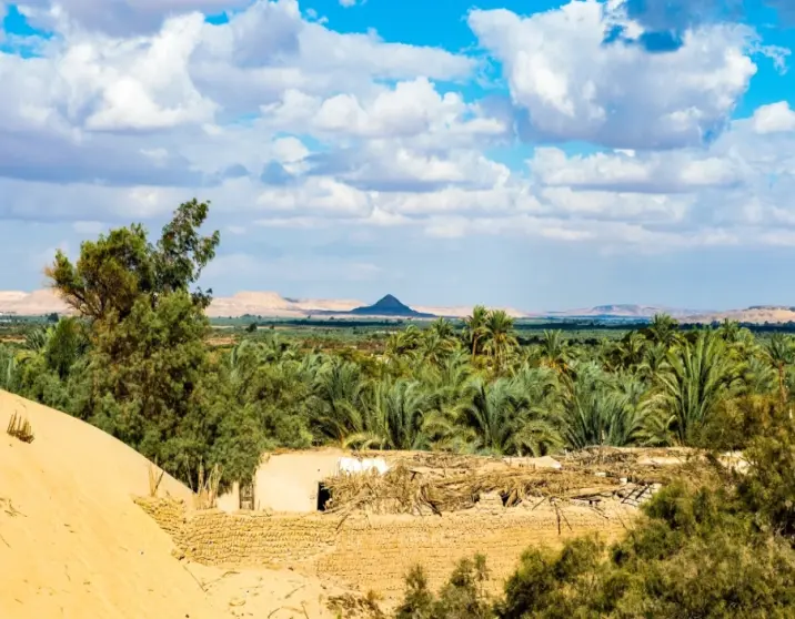2-Day Safari to Bahariya Oasis & White Desert Adventure